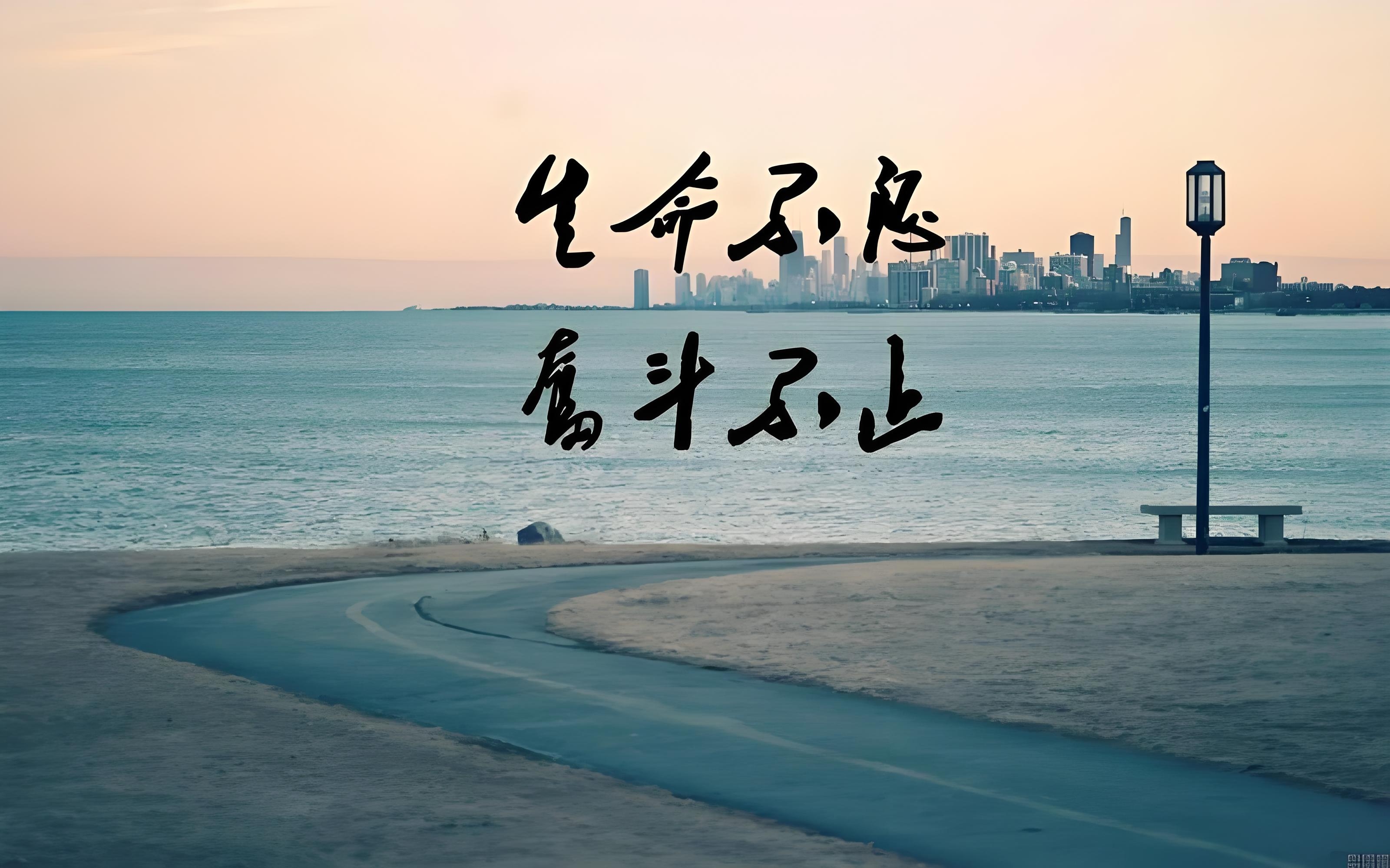 他们用实力和拼搏征服了所有人 他们用实力和拼搏征服了所有人